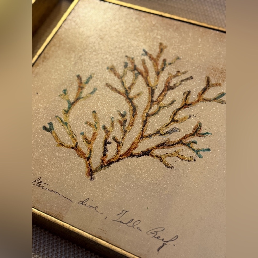 Set of 3 Pier 1 Golden‎ Toned Reef Art